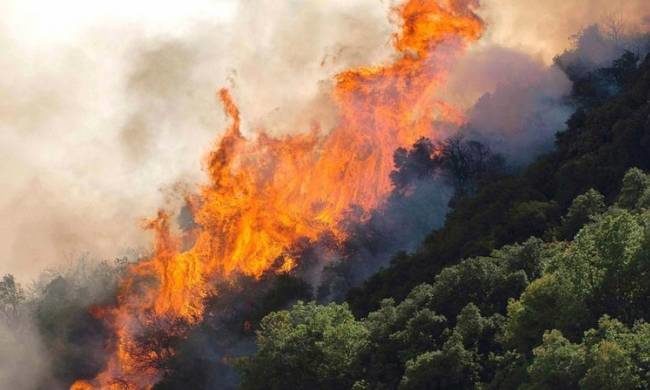 Κρήτη: Υπό έλεγχο η πυρκαγιά στο Ηράκλειο