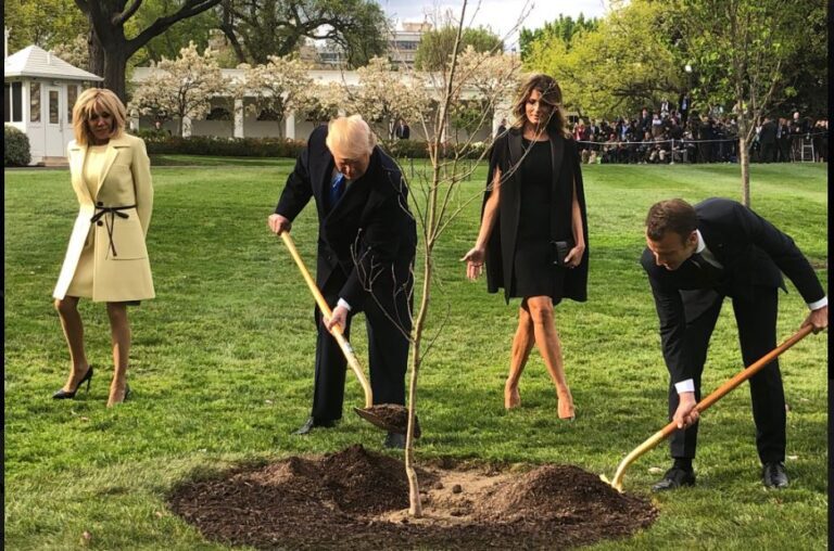 Το «αόρατο» δέντρο που φύτεψαν Τραμπ και Μακρόν