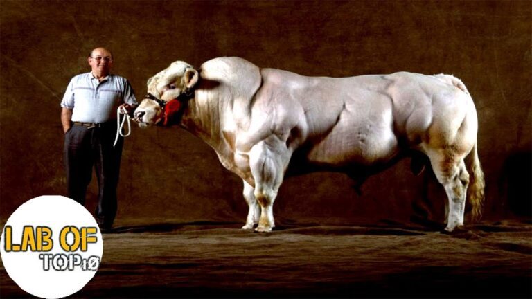 Αυτά είναι τα πιο τρομακτικά πλάσματα που δημιούργησε η επιστήμη! (vid)