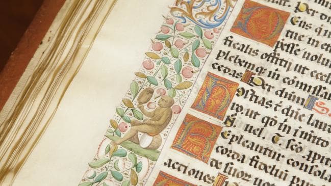 Βρήκαν δηλητηριώδη βιβλία – Δείτε τι συνέβη (pics)