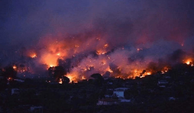 Τίμα και ΛεΝτέι σοκαρισμένοι από τις φονικές πυρκαγιές (pics)