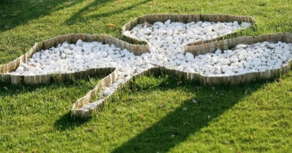 Παναθηναϊκός: Συνεργασία με το γαλλικό Κολλέγιο IdEF