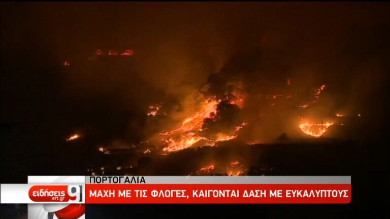 Η Ευρώπη “βράζει” σε πρωτόγνωρες θερμοκρασίες