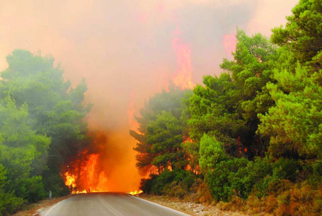 Μεγάλη πυρκαγιά σε δασική έκταση στην Εύβοια