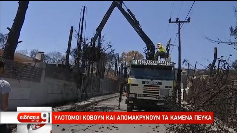 Υλοτόμοι κόβουν και απομακρύνουν τα καμένα δέντρα