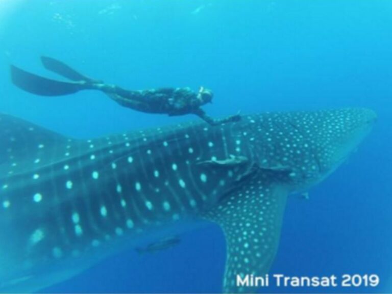 Μήνυμα για καθαρές θάλασσες!