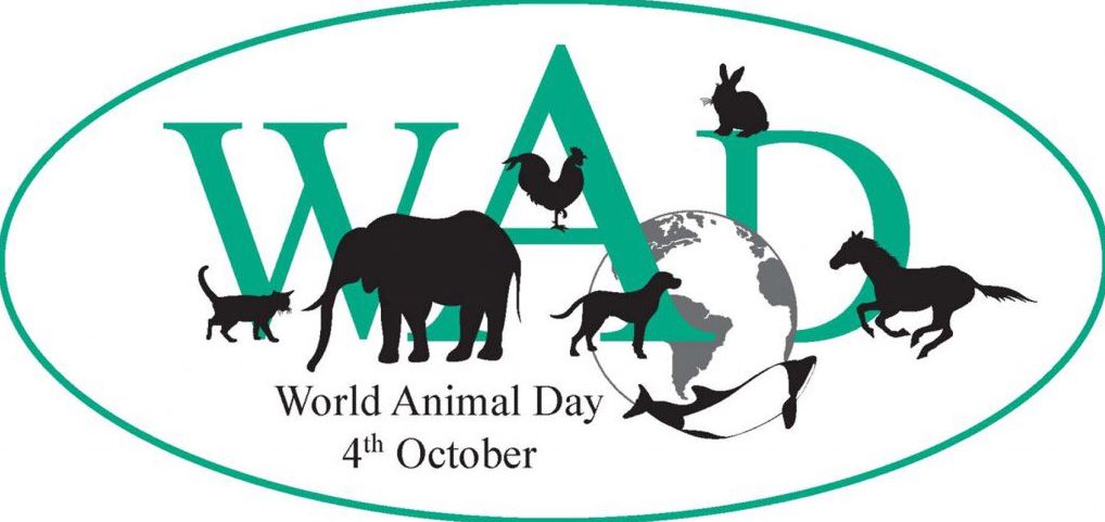 Η ΠΑΕ ΑΕΚ για την Παγκόσμια Ημέρα Ζώων