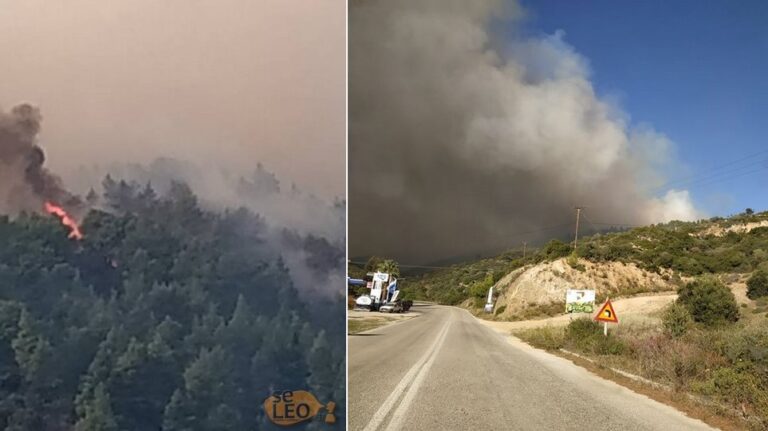 Η φωτιά στη Σιθωνία Χαλκιδικής έχει απλωθεί στα τρία χιλιόμετρα – Εκκενώνεται ο Κάμπος (vid)