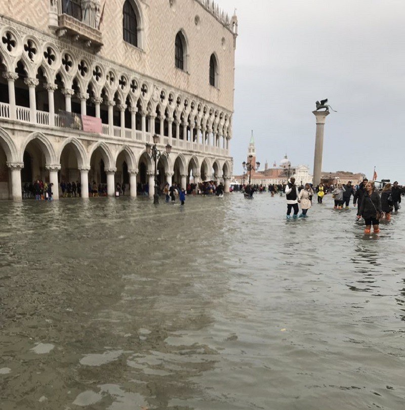 «Πνίγηκαν» στον μαραθώνιο της Βενετίας (vds)