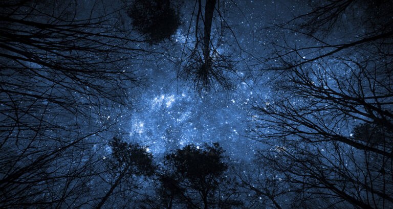 Χειμερινό Ηλιοστάσιο 2018 – Αφιερωμένο το Doodle της Google (vid)