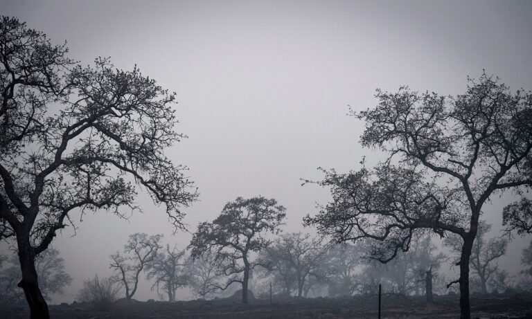 Κι όμως! Η ανθρωπότητα έχει ζήσει αρκετές «Αποκαλύψεις» (vid)