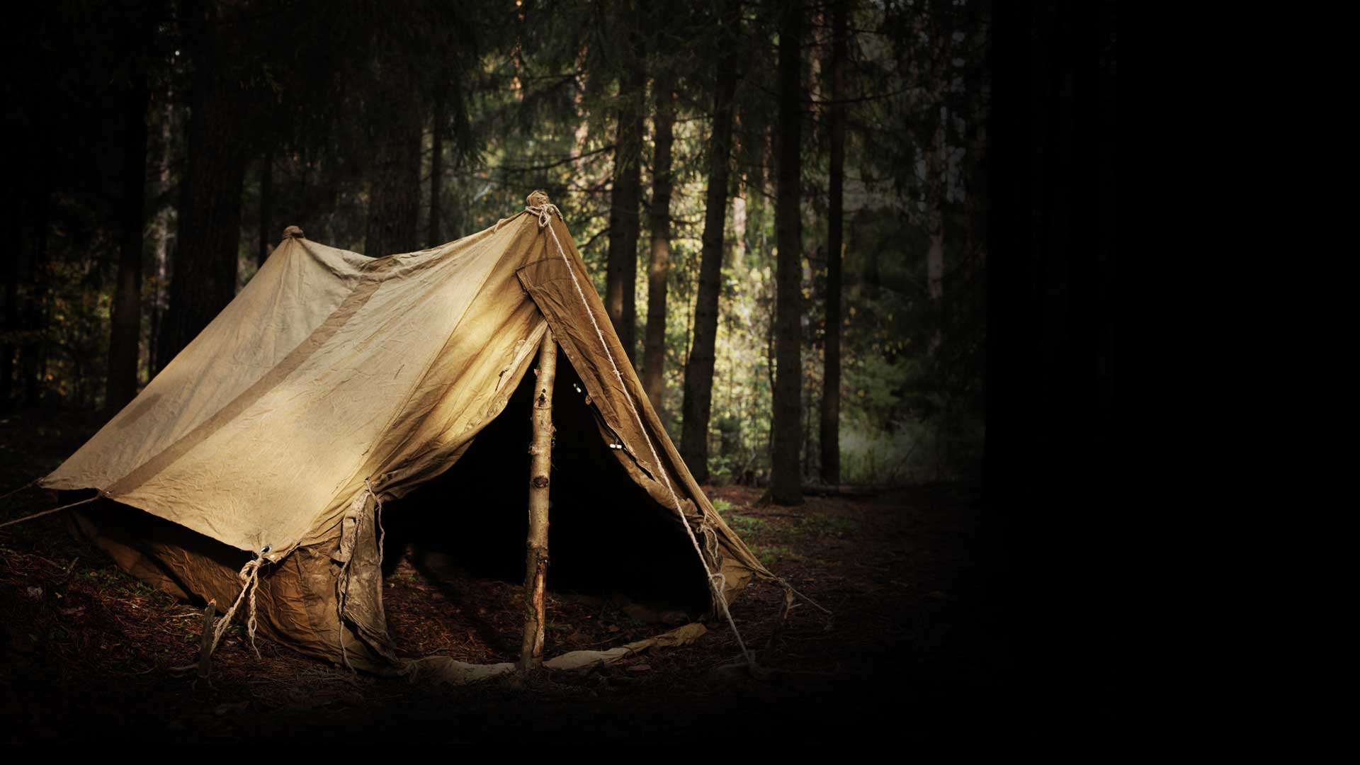 Το κάμπινγκ του τρόμου (vid)