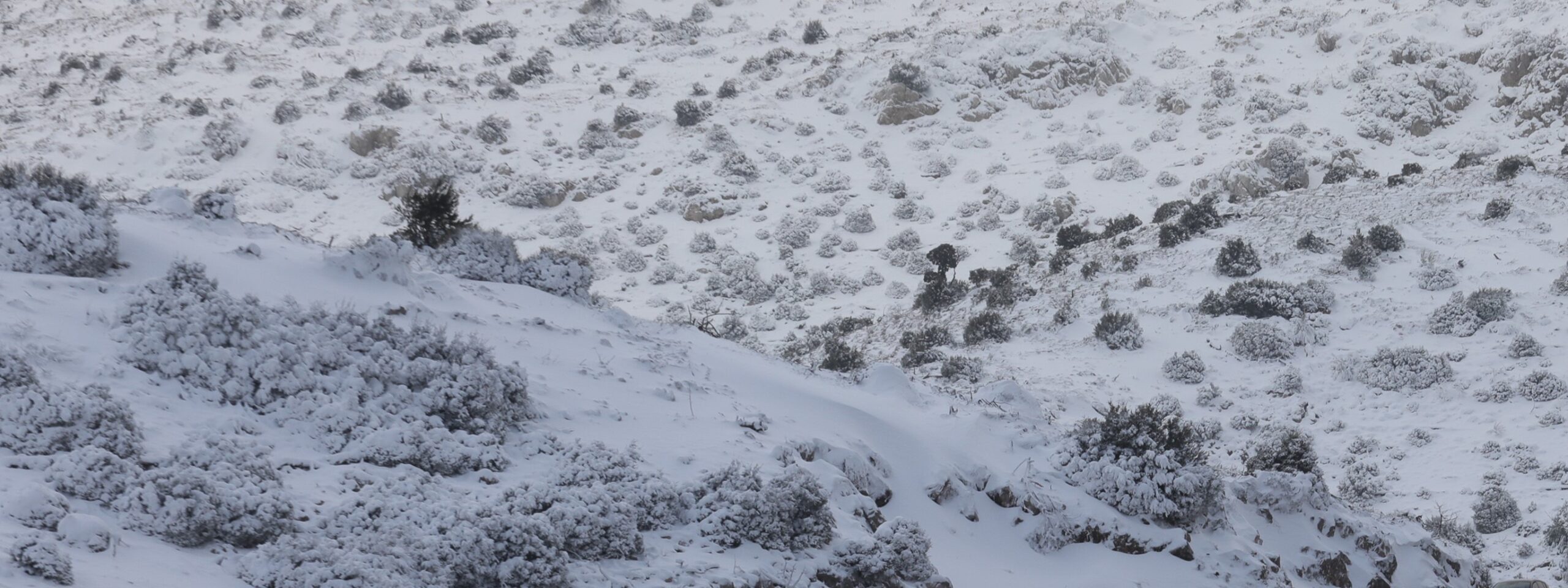 Πάρνηθα: Βρέθηκαν οι δύο αγνοούμενοι