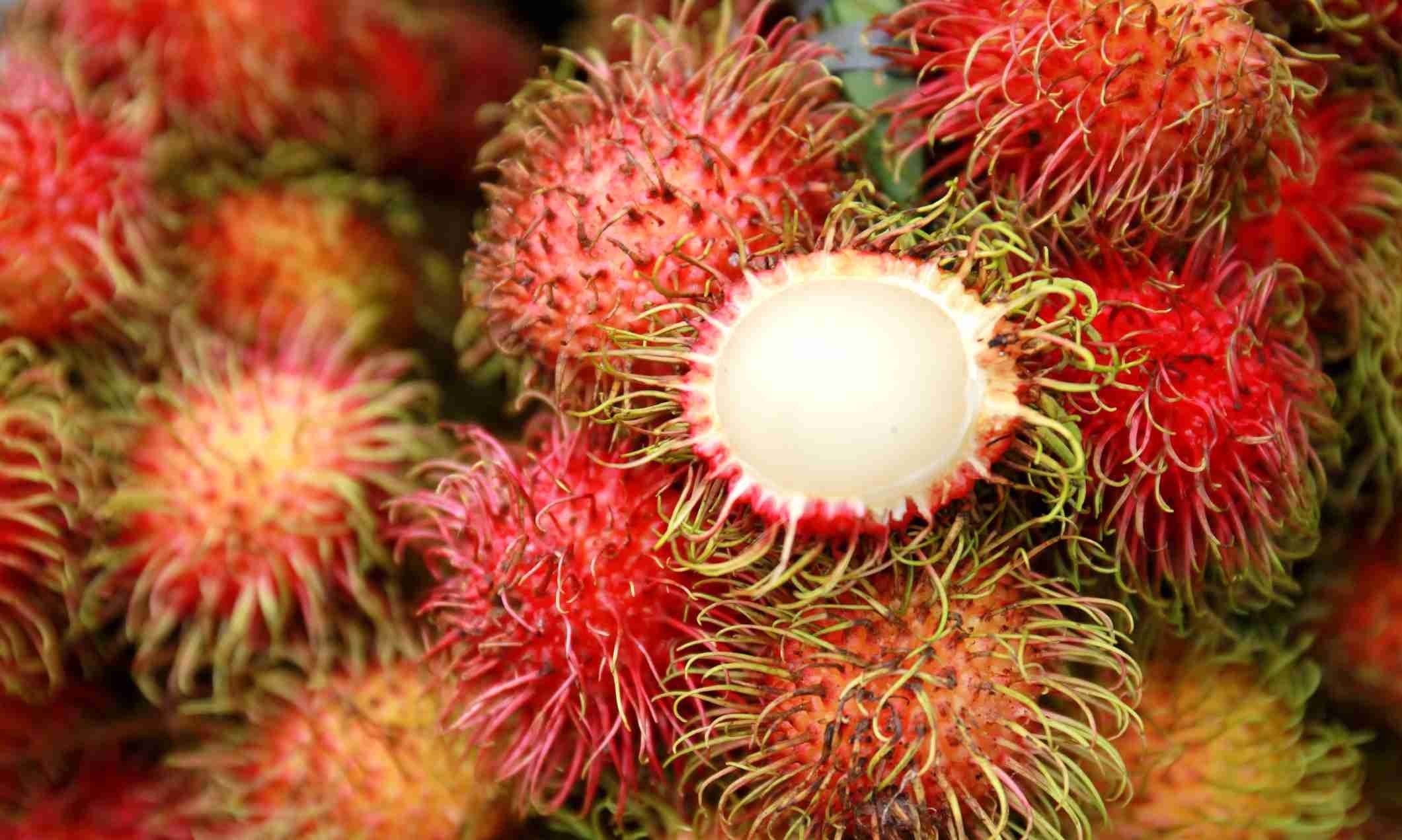Rambutan: Το φρούτο με την απίθανη γεύση που είναι τριχωτό και μοιάζει με αυγό (pics)