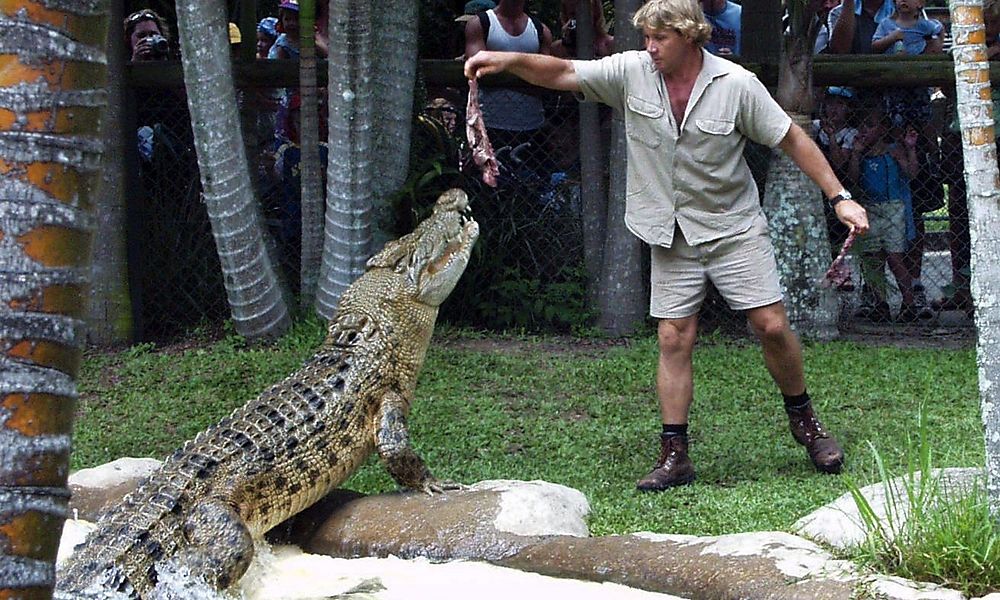 Google doodle: Steve Irwin–Στιβ Άιρβιν… ο κροκοδειλάκιας!