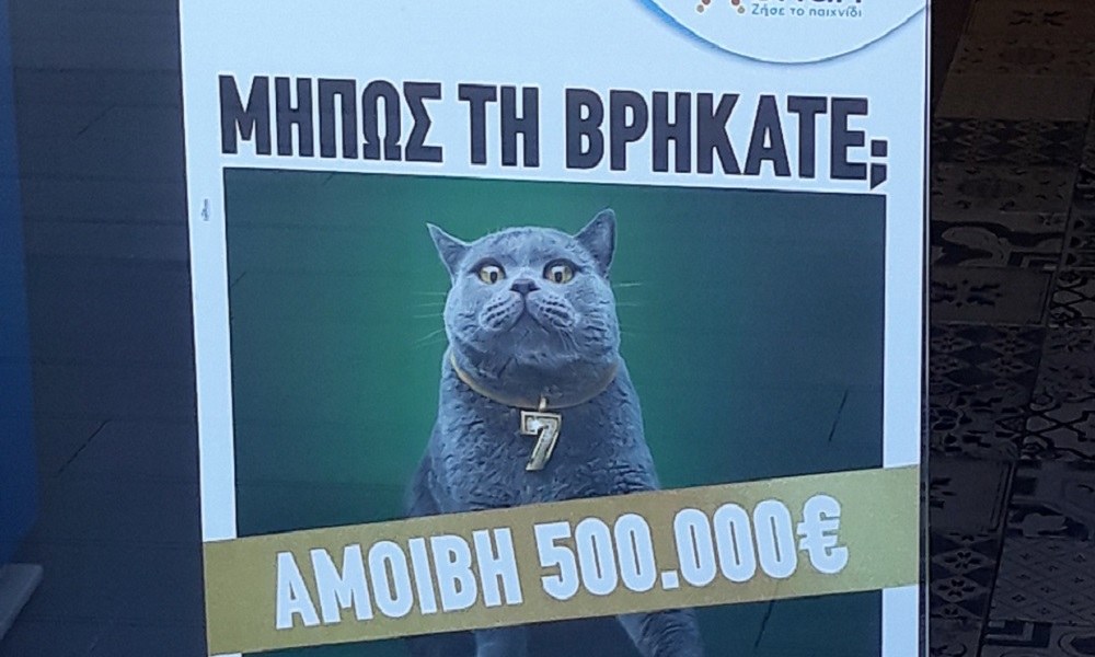 ΣΚΡΑΤΣ: Κυνήγι σε όλη την Ελλάδα για μία γάτα με αμοιβή 500.000 ευρώ