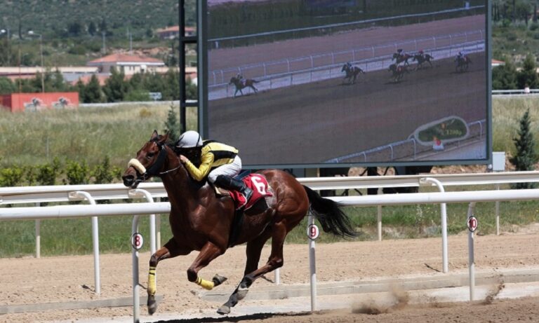Ιπποδρομίες συναρπαστικές και εκπλήξεις για τα παιδιά