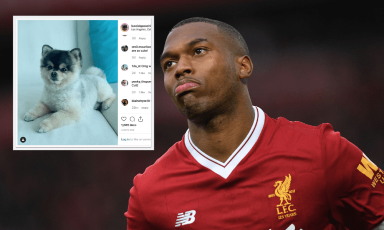 Στάριτζ: Προσφέρει 30.000 ευρώ για το σκύλο του! (vid)