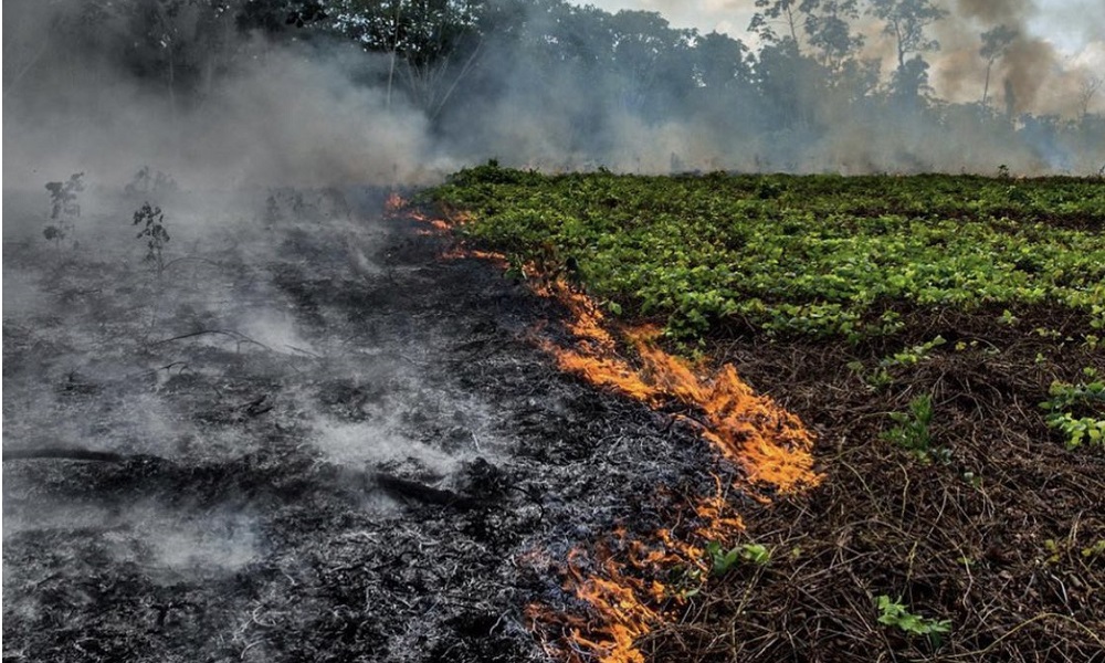 Αμαζόνιος: Σε κατάσταση έκτακτη ανάγκης λόγω της φωτιάς