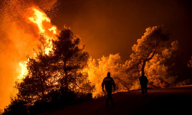 Φωτιά Εύβοια: Έπιασαν και άλλο ύποπτο εμπρηστή – Κάτοικοι είχαν βρει γκαζάκια στο δάσος