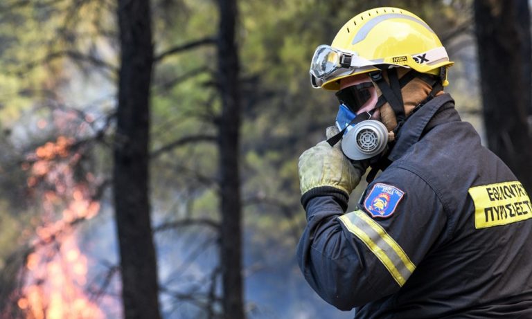 Φωτιά στην Εύβοια: Ενεργοποιείται η υπηρεσία για τη χαρτογράφηση των καταστροφών