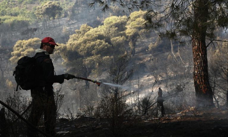 Φωτιά στη Νέα Μάκρη: Αναζητούν αυτόν που έβαλε τη φωτιά τα ξημερώματα της Πέμπτης