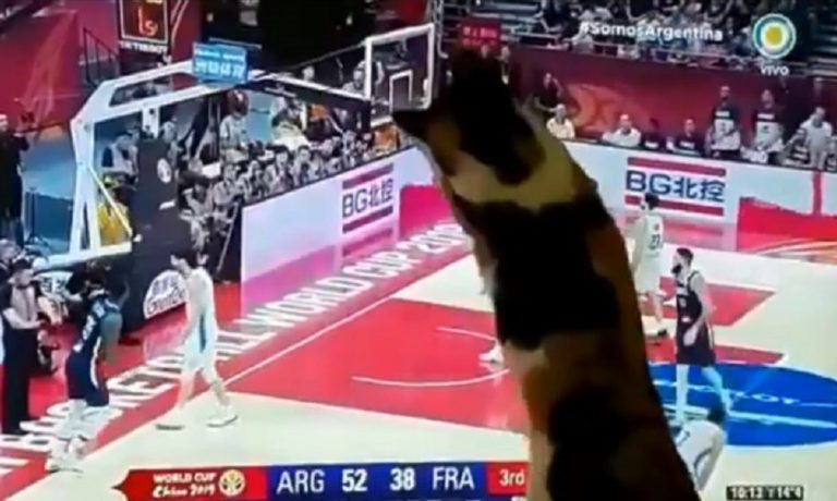 Αργεντινή: Το γούρι της είναι μια… γάτα! (vid)