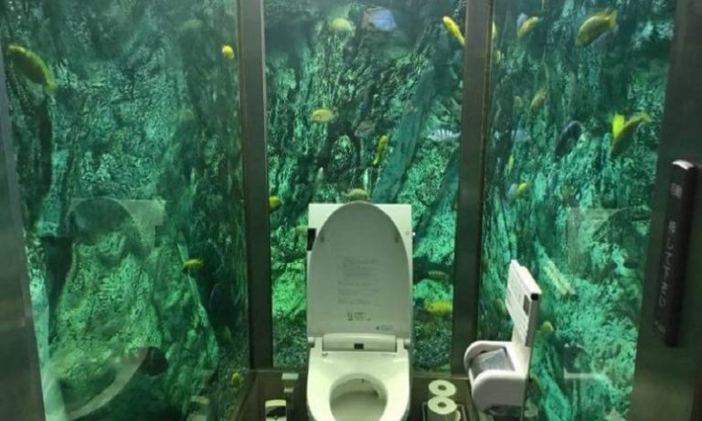 Viral: Καφετέρια με τουαλέτα μέσα σε ενυδρείο (vid)