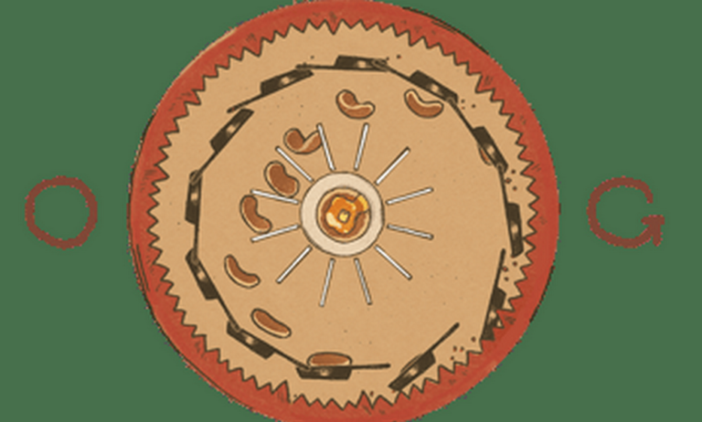 Google Doodle: Joseph Plateau – Η ανακάλυψη του Βέλγου φυσικού