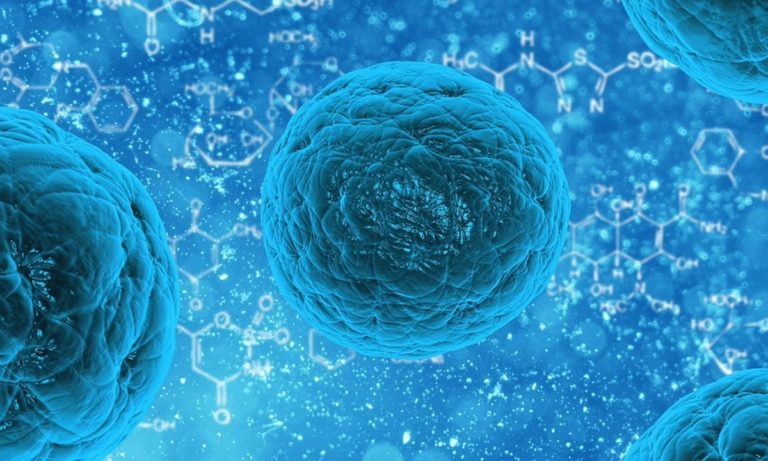 Ιστορική ανακάλυψη: Ανοσοποιητικό κύτταρο εξοντώνει όλους τους καρκίνους