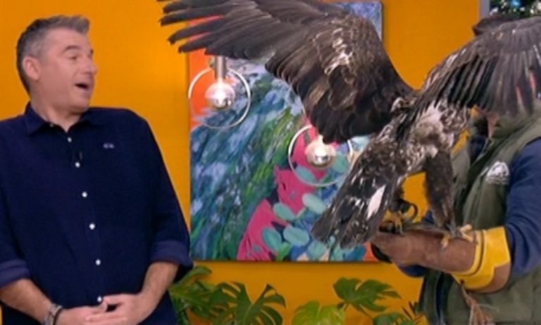 Λιάγκας: Αετός κουτσουλάει στο στούντιο, πως αντέδρασε ο παρουσιαστής (vid)