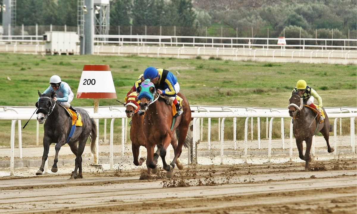 Markopoulo Park: Σημαντικά κέρδη για 15 νικητές του ΣΚΟΡ 6 στην πρώτη ιπποδρομιακή συγκέντρωση της χρονιάς