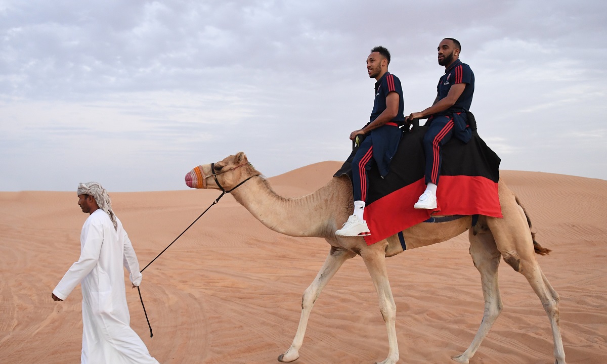 Άρσεναλ: Προετοιμάζεται για τον Ολυμπιακό με… καμήλες! (pics)