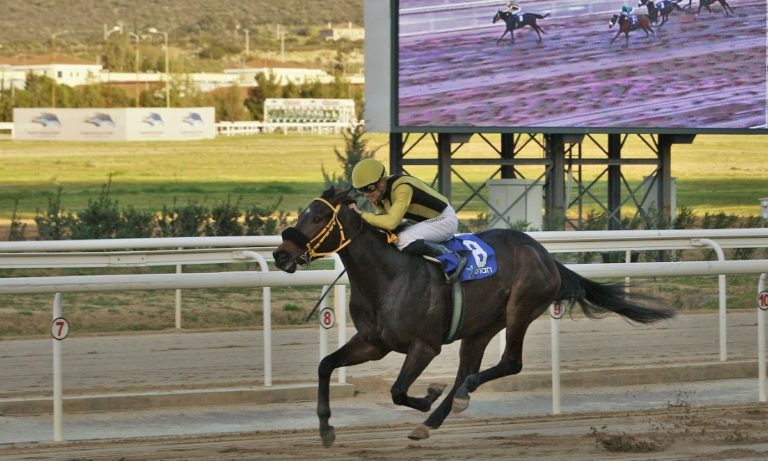 Ακύρωση εκδήλωσης Καθαράς Δευτέρας στο Markopoulo Park