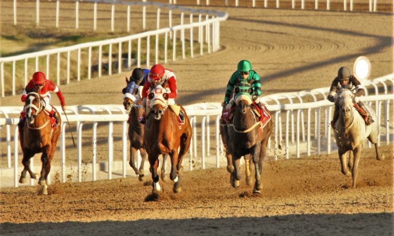 Εννέα αμφίρροπες κούρσες και κέρδη για πολλούς στις πρώτες ιπποδρομίες του Μαρτίου