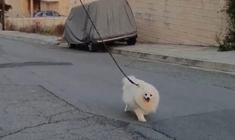 Κορονοϊός: Κύπριος βγάζει τον σκύλο του βόλτα με… drone! (vid)
