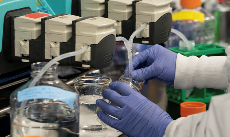 Η επιστημονική κοινότητα προειδοποιεί: «Μην παίρνετε χλωροκίνη, θα σας σκοτώσει!» (vids)