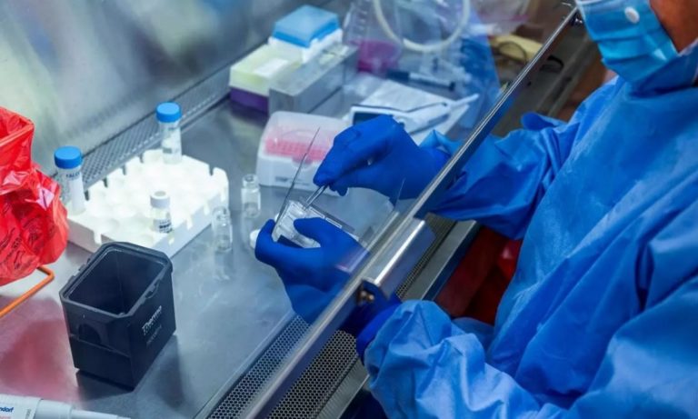 Κορονοϊός – ΟΗΕ: Συναγερμός για λαθρεμπόριο εμβολίων, μασκών και αντισηπτικών