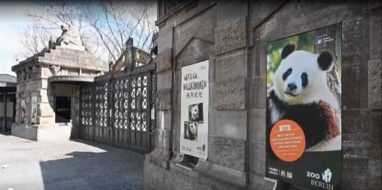 Κορονοϊός: Οι ζωολογικοί κήποι της Ευρώπης απειλούνται με λουκέτο! (vid)