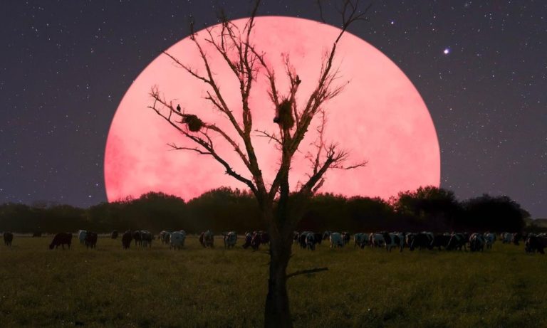 Ροζ υπερπανσέληνος: Το εντυπωσιακό θέαμα στον σκοτεινό ουρανό (pic-vid)