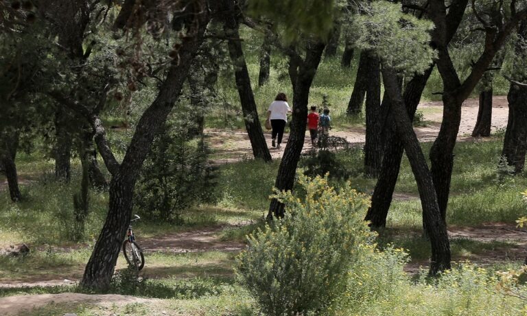 Ρόδος: Πακιστανός αυνανιζόταν μπροστά σε μαμάδες και παιδιά