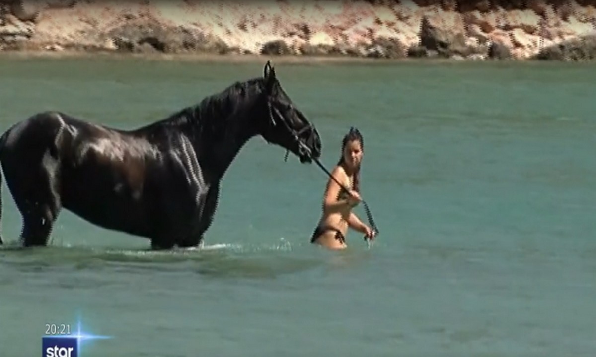 Παραλία Βάρκιζας: Έστειλαν sms, πήγαν θάλασσα με άλογα!