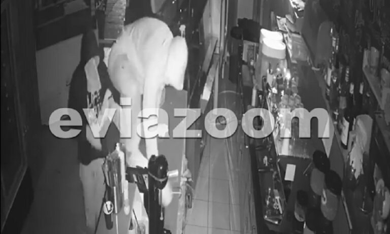 Καρέ-καρέ η ληστεία σε μαγαζί στη Χαλκίδα