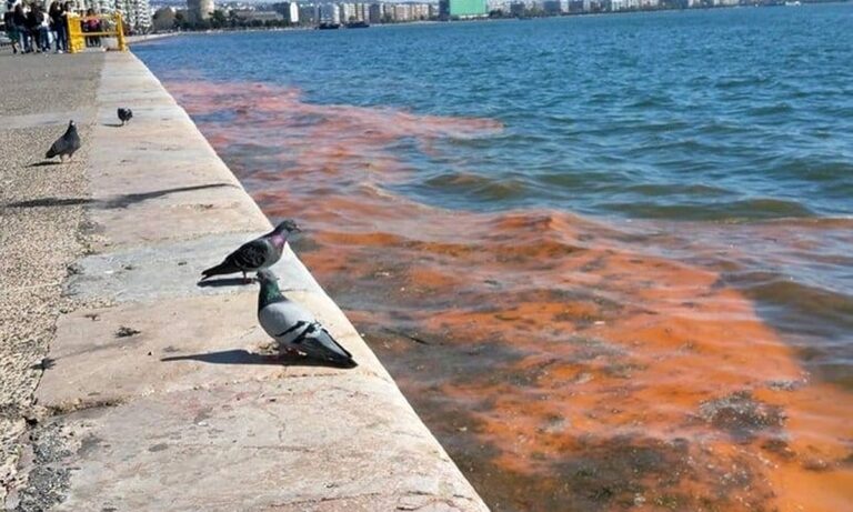 Θεσσαλονίκη: Βούτηξε για μπάνιο στον Θερμαϊκό!