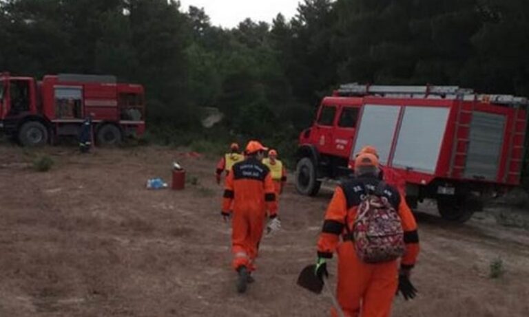 Άγιο Όρος: Ολονύχτια μάχη με τις φλόγες (vid)