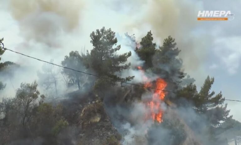 Ζάκυνθος: Υπό μερικό έλεγχο φωτιά σε δασική έκταση (vid)