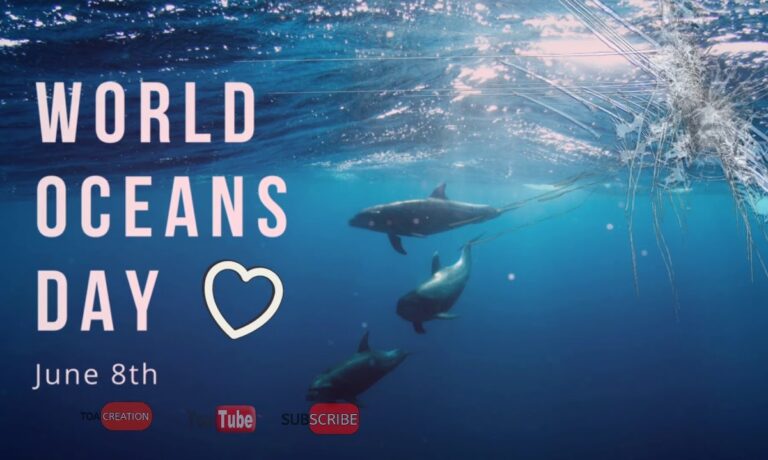 8 Ιουνίου: Παγκόσμια Ημέρα Ωκεανών