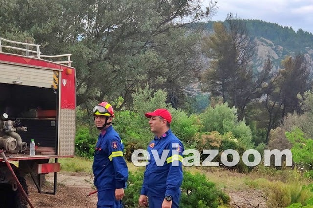 Εύβοια: Κατασβέστηκε πυρκαγιά στο πευκοδάσος στην περιοχή Κυπαρίσσι 
