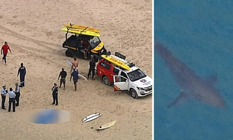 Σοκαριστικό: Καρχαρίας κατασπάραξε σέρφερ (vid)