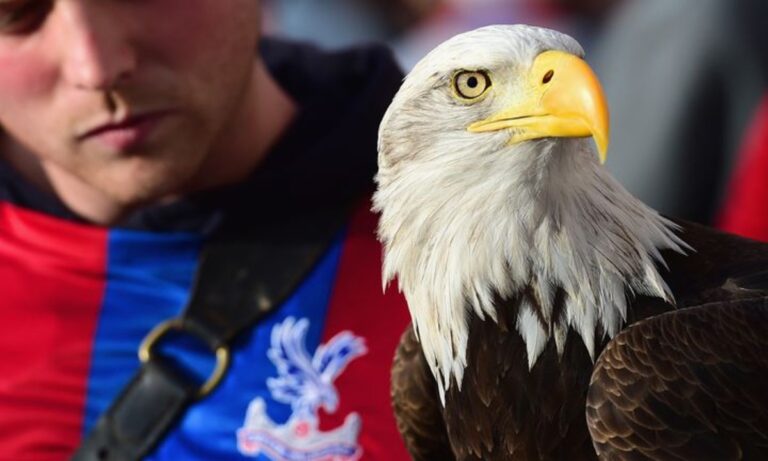 Κρίσταλ Πάλας: Πέθανε ο θρυλικός αετός μασκότ της ομάδας (pic, vid)